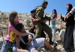 آمادگی فعالان سیاسی آمریکا برای کمک به فلسطین + فیلم