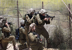 آمادگی فعالان سیاسی آمریکا برای کمک به فلسطین + فیلم