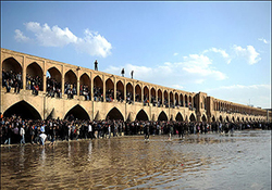بومی سازی لوازم توان بخشی در یک روستا + فیلم