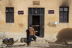 مرگ تدریجی درختان خیابان ولیعصر (عج)