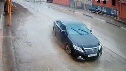 لاشه دو قلاده توله پلنگ ایرانی در شهرستان چرام + فیلم