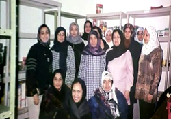 تردد آزادانه سوسک‌ها در یک شیرینی پزی!/ مواد اولیه فاسد، هدیه نوروزی آشپز متخلف به مردم + فیلم
