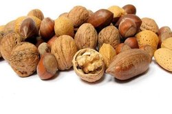 گردو چه خواصی برای بدن دارد؟ + فیلم