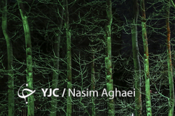 آگهی پایانی