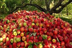 ۲۰ دستگاه و نهاد، آماده خدمت رسانی به ۲۰ میلیون سفر نوروزی + فیلم