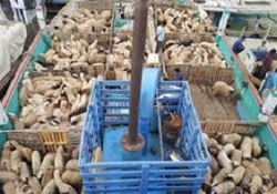 بندری با پتانسیل های مهم اقتصادی و ارز آوری + فیلم