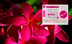 رقابت خودروسازان داخلی برای کلاه گذاشتن سر مشتری/ عادی‌ ترین آپشن‌های ۲۰۶ هم حذف شد + فیلم