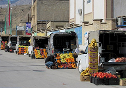 سارقانی که خود طعمه سارقی دیگر شدند + فیلم