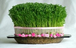 ایده‌ای جالب برای رنگ آمیزی تخم مرغ + فیلم
