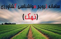 ویدیویی خارق العاده از ساخت مزرعه شناور! + فیلم