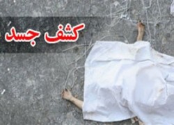 جزئیات دستگیری مشهورترین شرور تهران در مرز ترکیه + فیلم
