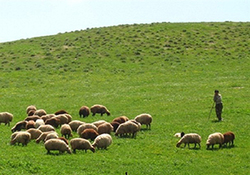 چرخی که با تولید قطعات برقی می‌چرخد + فیلم