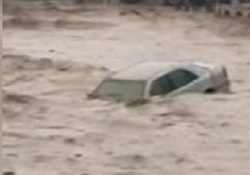 فیلم ضرب و شتم شدید در دیدار تیم‌های «برق جدید» و «خونه به خونه»