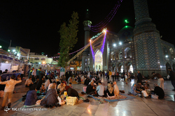 همایش تجلیل از امام زادگان