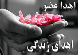 عمر جاودانه بیماران مرگ مغزی با اهدای عضو + فیلم
