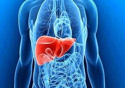 از کجا بفهمیم کبد چرب داریم؟ + فیلم