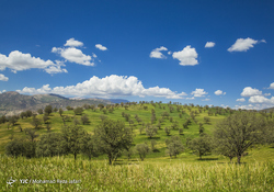 شهر تاریخی و گردشگری ایذه در استان خوزستان
