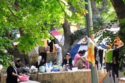 پهن شدن فرشی زیبا با 500 هزار شاخه گل + فیلم