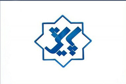 جوجه بوقلمون‌های دلار ساز + فیلم