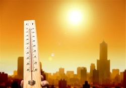 وقتی قانون آزادی اسلحه بلای جان پلیس آمریکا می‌شود + فیلم