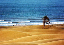 پارک راحت موتورسیکلت به کمک وسیله‌ای کم حجم و سبک + فیلم