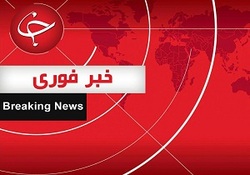 لحظه دستگیری عامل هواپیماربایی در روسیه + فیلم