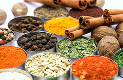 بخش خبری 