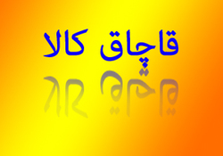 اما و اگرهای لایحه ای که به حمایت از مناطق آزاد شتافته است + فیلم