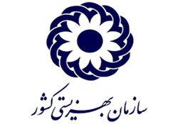 ایده آل ترین خودرو برای معلولان + فیلم