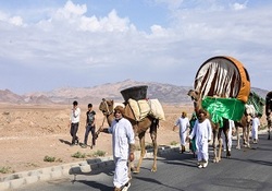 تصاویری از اجتماع باشکوه عزاداران حسینی در محرم امسال