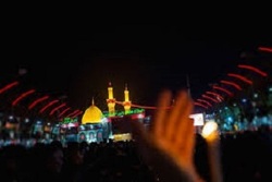 حضور عاشقان حسینی در خیابان‌های هند + فیلم