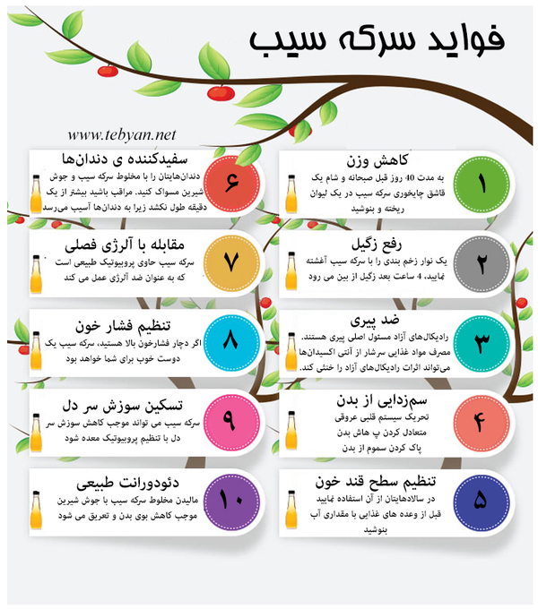 خواص معجزه آسای سرکه سیب چیست؟+اینفوگرافیک