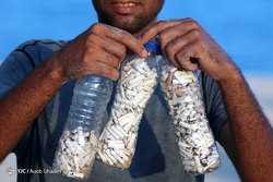 زمستان بهاری کیش