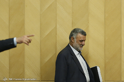دیدار هیات پارلمانی فرانسه با رئیس مجلس