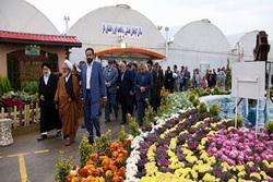 حال و هوای باطراوت بازار گل در آستانه سال نو + فیلم