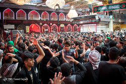 اجتماع عزاداران رضوی در حرم مطهر امام رضا(ع)- 2