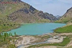 سفر به سبک بوم گردی + فیلم
