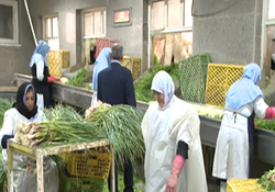 جزئیات برگزاری ششمین آزمون استخدامی دستگاه‌های اجرایی کشور + فیلم