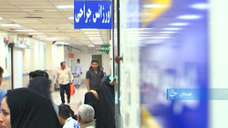 برداشت سبزی‌های با طراوت در حمیدیه خوزستان + فیلم