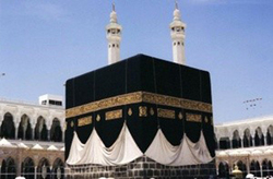 حمله میمون‌ها به کاروان عمره گذاران عمانی + فیلم