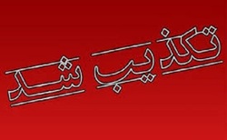 صدای مشکلات جاده‌های روستایی به گوش بهارستانی‌ها رسید + فیلم