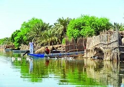 جان بخشیدن به تالاب کمجان/ تالابی که به کمک همسایگانش پر آب شد + فیلم