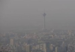 تایم لپسی دیدنی از رشد یک دانه نخود + فیلم