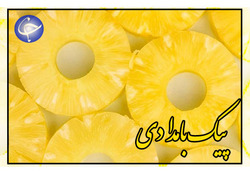 سقف جدید بر درآمدهای دفاتر ازدواج و طلاق + صوت