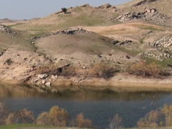 بهاری شدن درختان در بهبهان در فصل زمستان + فیلم