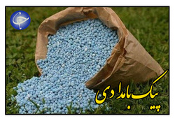 صندوقی که بر ایده زنان روستایی جامه عمل می پوشاند + فیلم