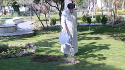 سرانجام یک ابرپرونده قضایی ۱۰ ساله با بیش از ۱۲ هزار شاکی + فیلم