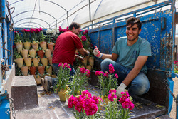 هفت‌سین و تنهایی