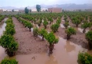 آخرین جزئیات از سیل احتمالی در لرستان/ دورود به حالت آماه باش درآمد