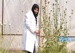 دانشگاهی که کارآفرین پرورش می‌دهد + فیلم